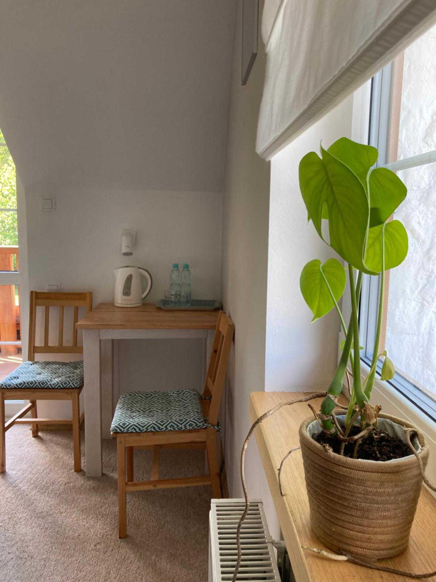 ルチャネ・ニダMazurska Gajowkaアパートメント 部屋 写真